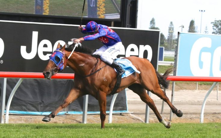 Mahuta