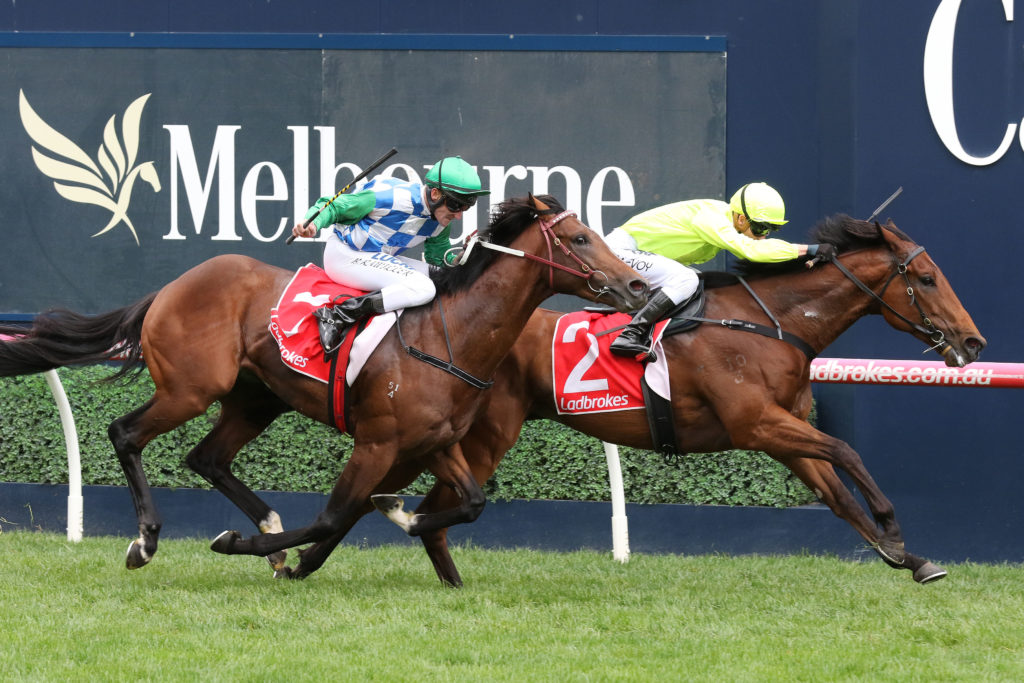 Manuel_17-10-2018_WIN_Caulfield_3__443 | Just Horse Racing