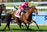 Marianne winning the LUCRF Jockeys Trust Handicap at Caulfield - photo by Race Horse Photos Australia