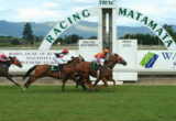 Matamata races