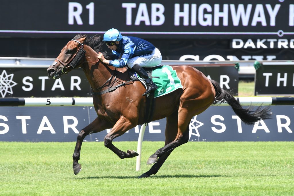 Mate Story 170218 4694 | Just Horse Racing