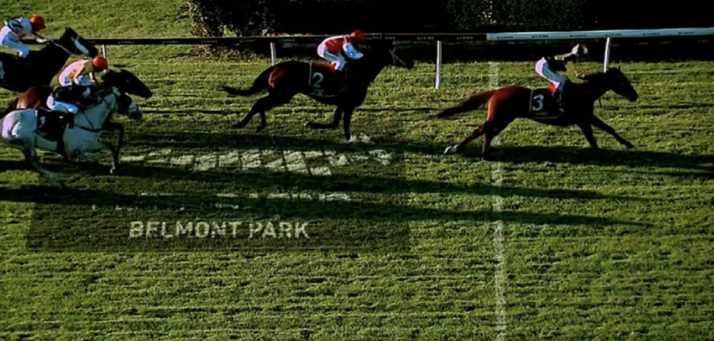 Material Man | Just Horse Racing