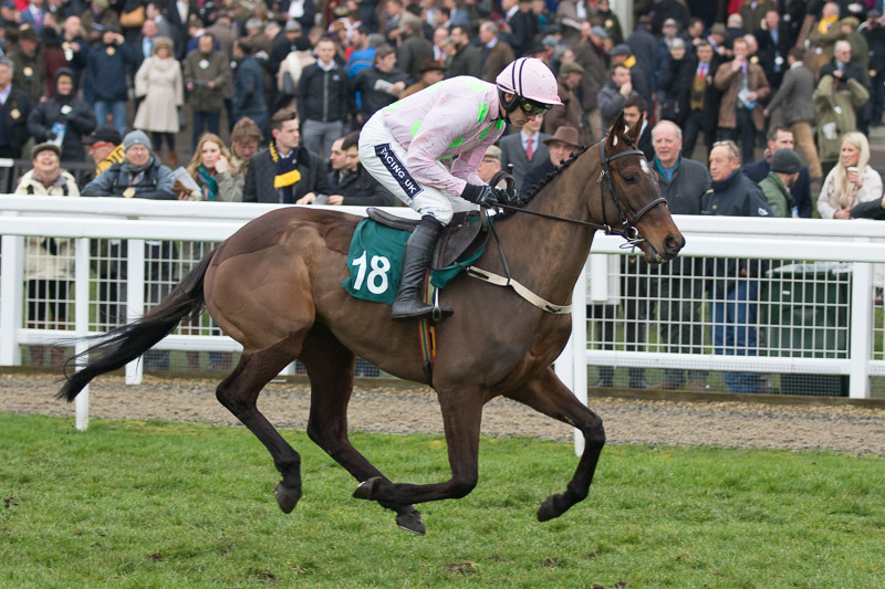 Max Dynamite | Just Horse Racing