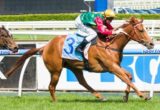 May's Dream winning the Procal Dairies Handicap at Caulfield - photo by Race Horse Photos Australia