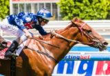 Means A Lot winning the Carlton Draught Handicap at Moonee Valley ridden by Jye McNeil and trained by Darren Weir - (photo by Steven Dowden/Race Horse Photos Australia)