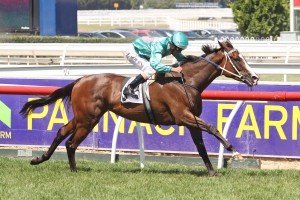 Meliora,Angus Armanasco Stakes,Group 2_23-02-2013_WIN_Caulfield_3__266 | Just Horse Racing