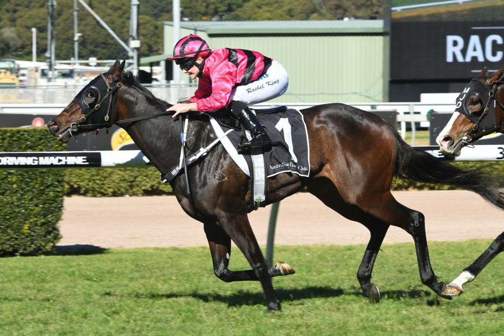 Memes 220717 0358 | Just Horse Racing
