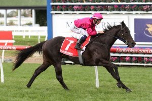 Merriest | Just Horse Racing Merriest