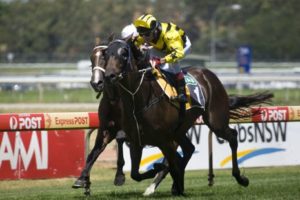 Metal Bender - sportpix.com.au