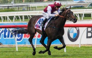 Caulfield Raceday