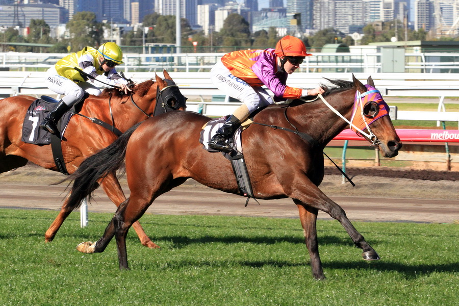 MioDio-20150718-0588_resize | Just Horse Racing