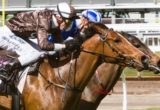 Miracle to Me winning the Domain 1100 at Flemington - photo by Race Horse Photos Australia