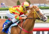 Miracles of Life heads The Goodwood 2014 market