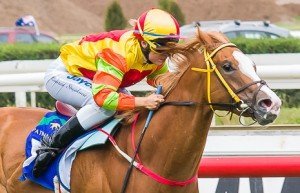 Caulfield Raceday