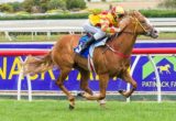 Miracles of Life winning the Patinack Farm Blue Diamond Preview at Caulfield - photo by Race Horse Photos Australia (Steven Dowden)