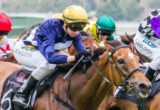 MELBOURNE, AUSTRALIA - 11/01/2014: Miss Maggiebeel winning the Nouvelle Star Handicap at Flemington ridden by Katelyn Mallyon and trained by Mathew Ellerton & Simon Zahra - (photo by Steven Dowden/Race Horse Photos Australia)