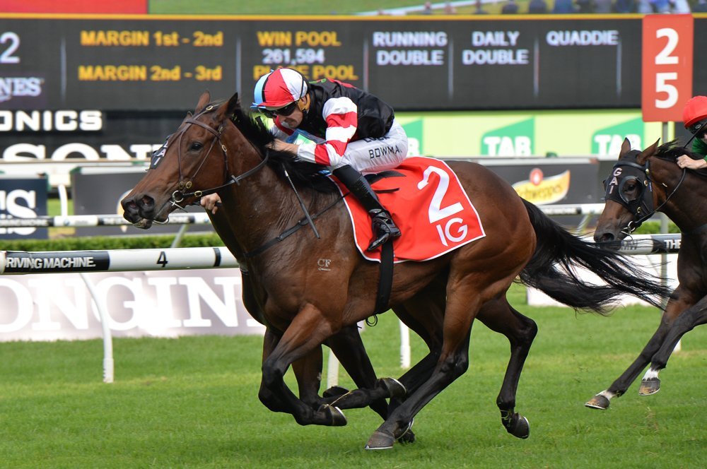 Missrock | Just Horse Racing Missrock