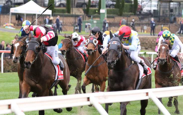 Blazer Stakes nominations 2017