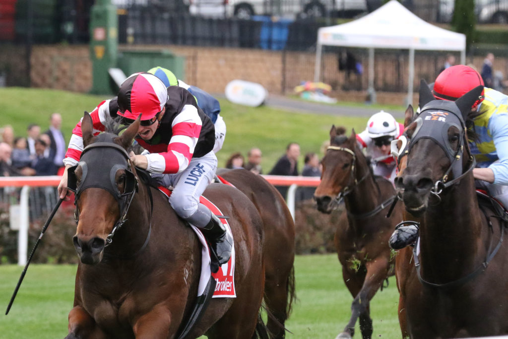 Missrock,Carlyon Stakes,Listed_26-08-2017_WIN_Moonee Valley_7__981 | Just Horse Racing