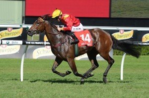 Missy Cummings 270413 4061 | Just Horse Racing
