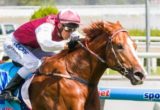 Mohave winning the Blue Diamond Preview (C&G) at Caulfield ridden by Chris Symons and trained by Peter Snowden - (photo by Steven Dowden/Race Horse Photos Australia)
