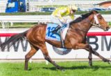Monkstone winning the Download the Sportingbet App Handicap at Caulfield - photo by Race Horse Photos Australia