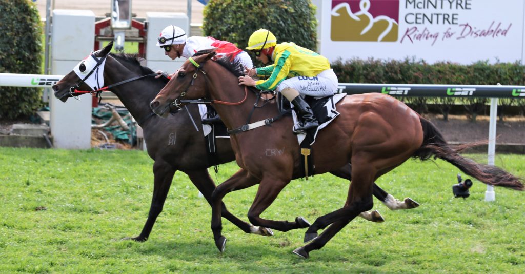 Monteux Michael Cahill _3239 (2) | Just Horse Racing