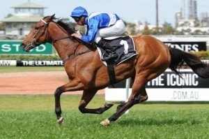 More Joyous 290912 9365 | Just Horse Racing