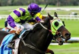 Most Husbands winning the Winslow Constructors Handicap at Sandown ridden by Harry Coffey and trained by Darren Weir - (photo by Steven Dowden/Race Horse Photos Australia)