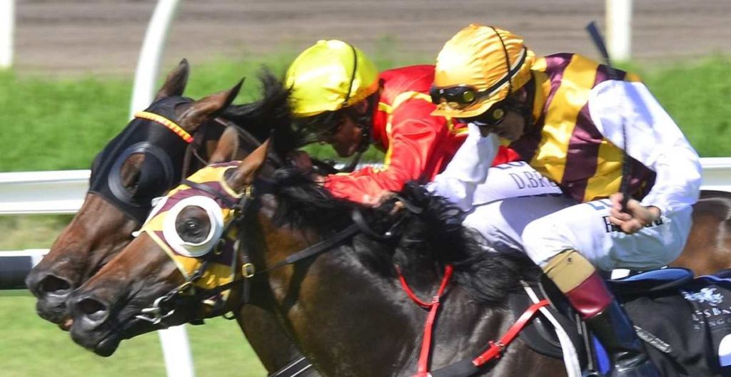 Most Important | Just Horse Racing