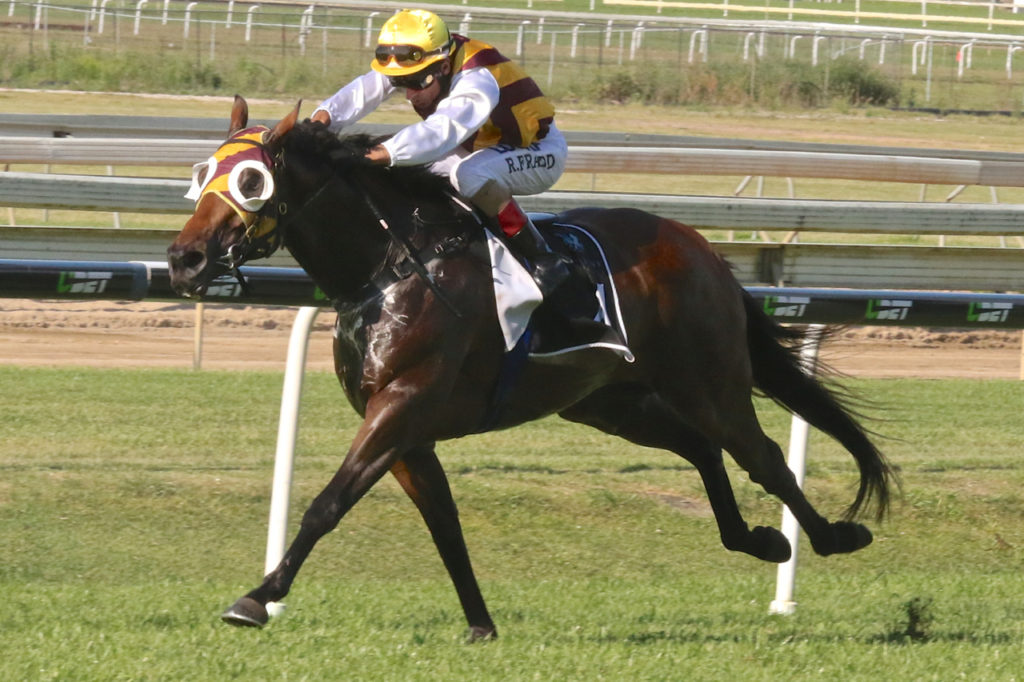 most-important | Just Horse Racing