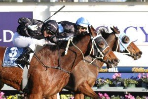 Mourinho, PB Lawrence Stakes