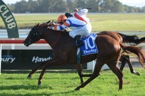 Mouro 040513 5325 | Just Horse Racing