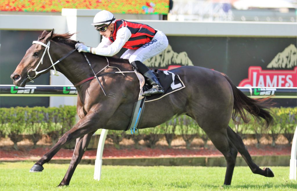 Mr Marbellouz (1) | Just Horse Racing