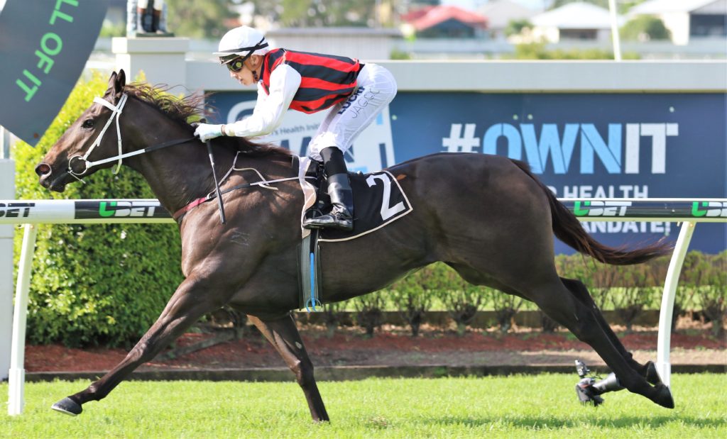 Mr Marbellouz (2) | Just Horse Racing