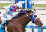 Ms Mazetti winning the Jack Elliott Handicap at Caulfield ridden by Mark Zahra and trained by Robert Smerdon - (photo by Steven Dowden/Race Horse Photos Australia)