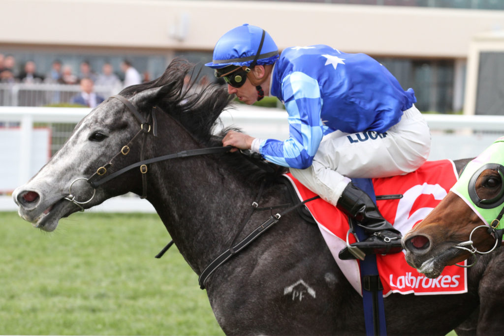 murt-the-flirt_12-10-2016_win_caulfield_5__694 | Just Horse Racing