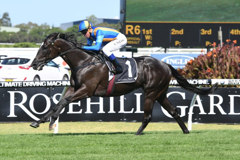 Music Magnate 280117 2769 | Just Horse Racing