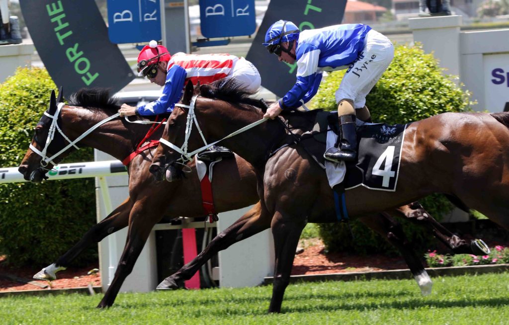 My Giuliano 1 | Just Horse Racing