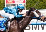 Mybenz winning the Pin & Win for Starlight Children's Foundation Handicap at Caulfield - photo by Race Horse Photos Australia