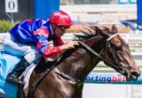 Nayeli winning the Chairman's Stakes at Caulfield ridden by Vlad Duric and trained by Gai Waterhouse - (photo by Steven Dowden/Race Horse Photos Australia)