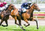 Nesbo winning the Straight Draw Handicap at Flemington ridden by Brad Rawiller and trained by Michael Kent - (photo by Steven Dowden/Race Horse Photos Australia)