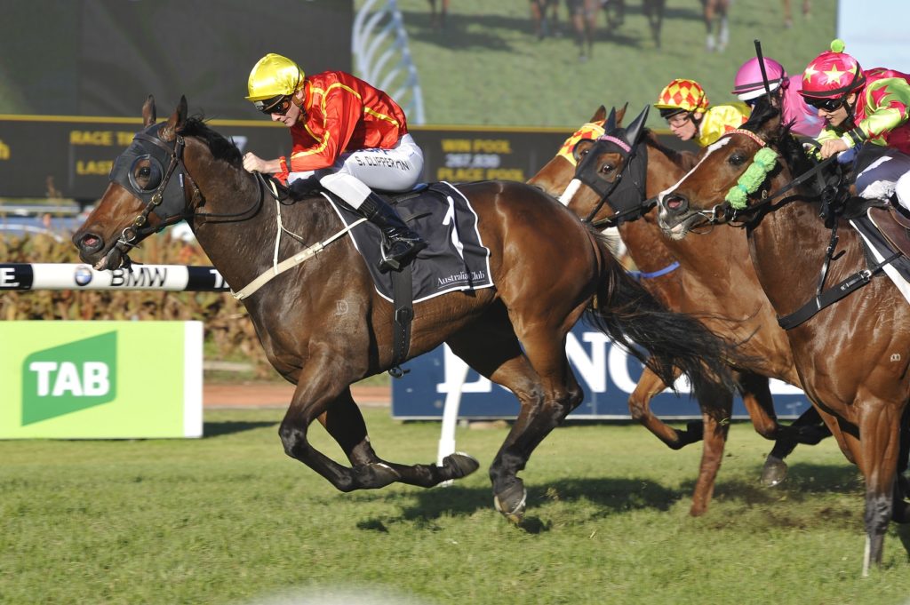 ninth-legion-020716-2416 | Just Horse Racing