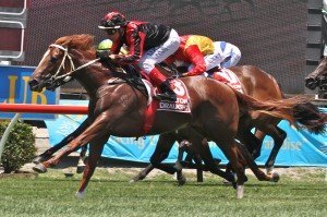 No Problem, Michael Cahill | Just Horse Racing No Problem, Michael Cahill