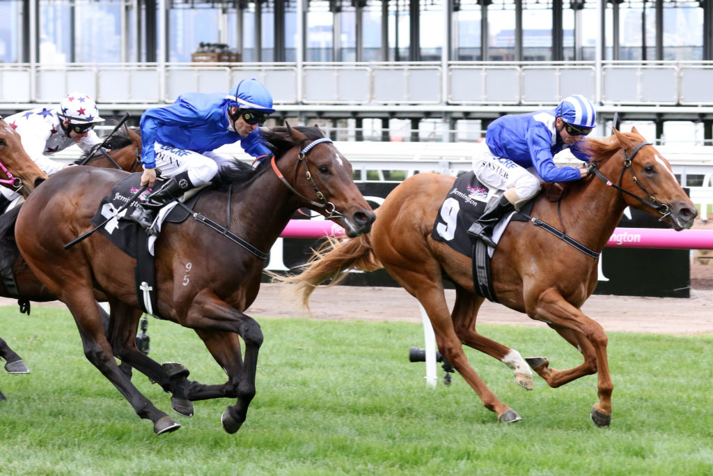 Nomothaj,Maribyrnong Trial Stakes,Listed_07-10-2017_WIN_Flemington_1__51 | Just Horse Racing