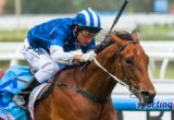 Nordic Empire winning the Flemington Equine Clinic Plate at Caulfield ridden by Damien Oliver and trained by Mick Price - (photo by Steven Dowden/Race Horse Photos Australia)