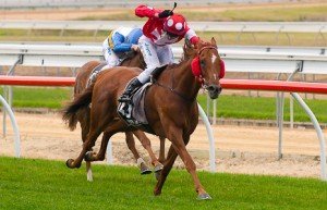 Norsqui winning the 2012 Centrebet Mornington Cup - Photo by Steven Dowden