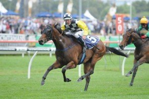 Norzita 061012 9991 | Just Horse Racing