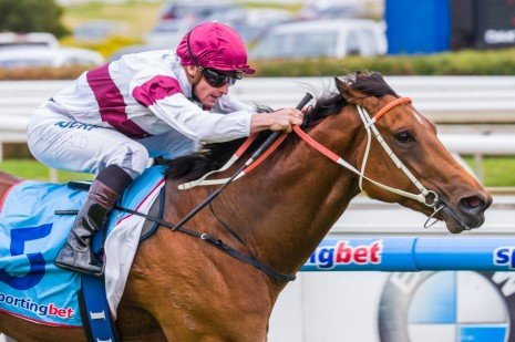 Not Listenin'Tome winning the Zeditave Stakes at Caulfield ridden by James McDonald and trained by Michael, Wayne & John Hawkes - (photo by Steven Dowden/Race Horse Photos Australia)