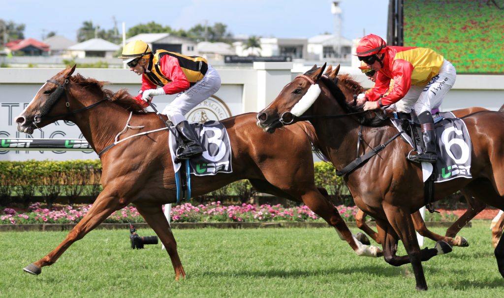 Notonyourlife (3) | Just Horse Racing